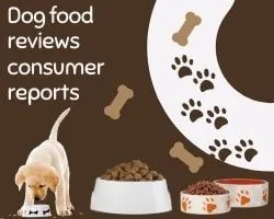 Best Dog Food Reviews Consumer Reports