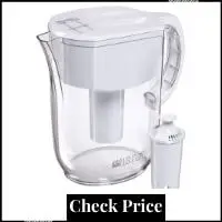 Water Ionizer Reviews Consumer Reports