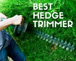 Best Hedge Trimmer Consumer Reports