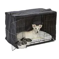 consumer reports best dog crates