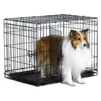new world pet products folding metal dog crate