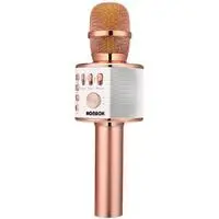 best bluetooth karaoke microphone
