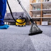 best carpet cleaning method consumer reports