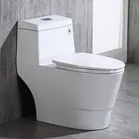 toilet reviews 2021