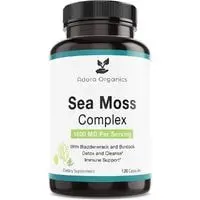 best sea moss supplement 2022