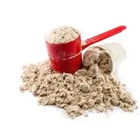 consumer reports protein powder rankings