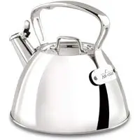 all clad e86199 stainless steel tea kettle