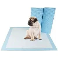bv pet potty training pads for