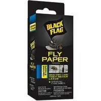 best fly paper