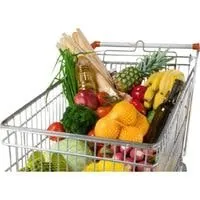 best folding grocery cart (2)