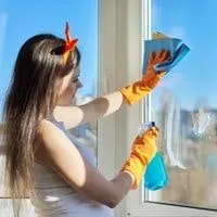 best hose spray window cleaner 2022