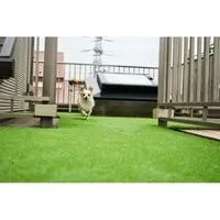 best artificial grass for dog potty