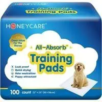 training pads, pack of 100